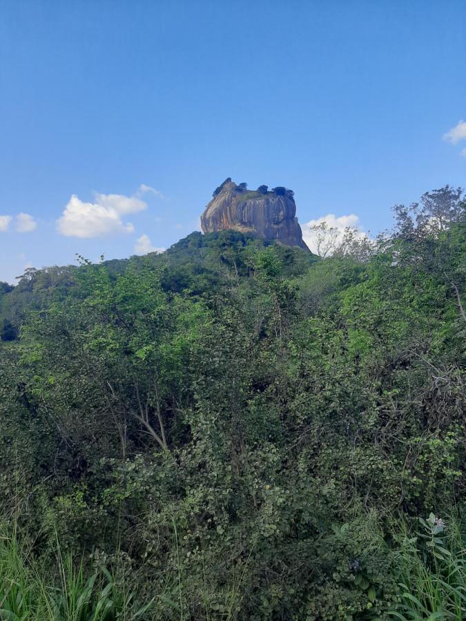 Hotel Chanara Sigiriya Eksteriør bilde